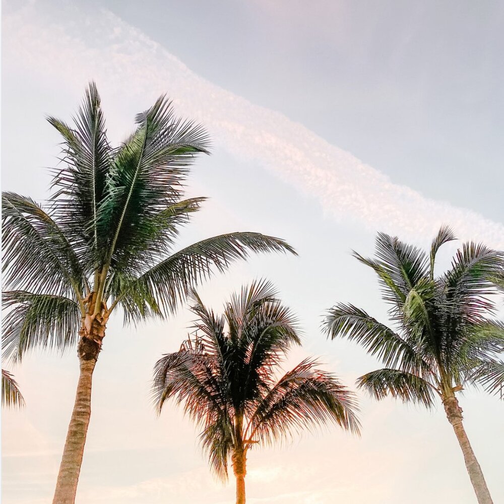 Special Bundle - RESERVED